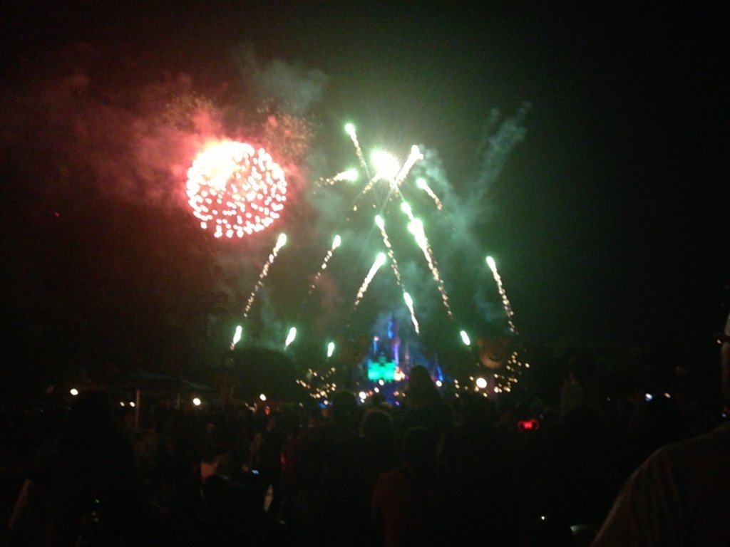 My favorite part of the evening. The Halloween Screams, fireworks show. 
