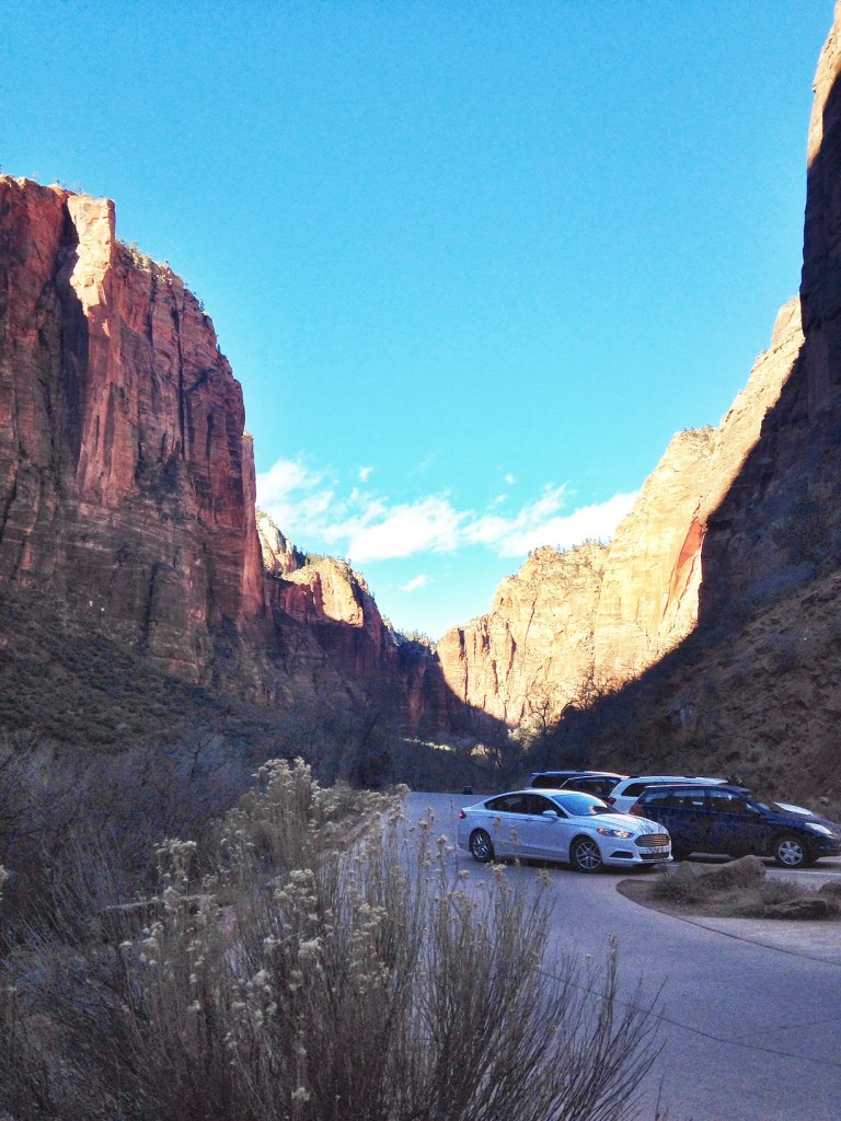 Zion National Park was amazing! 